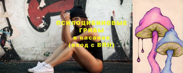MESCALINE Богородицк