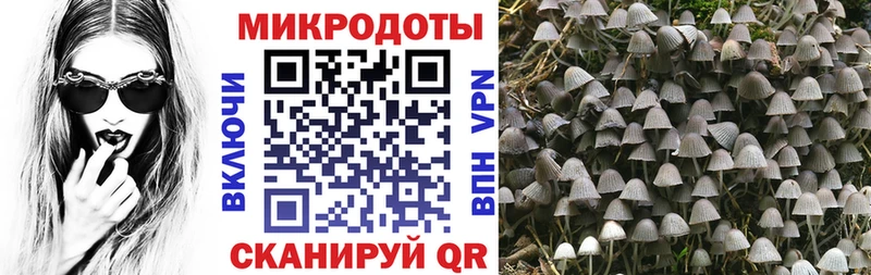 Галлюциногенные грибы MAGIC MUSHROOMS  Астрахань 